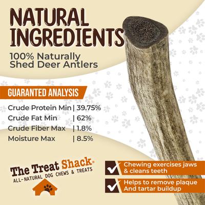 Whole Naturally Shed 6-in Deer Antler Dog Treats, Medium, 1 count
