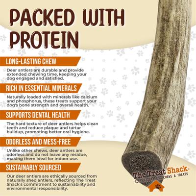 Whole Naturally Shed 6-in Deer Antler Dog Treats, Medium, 1 count