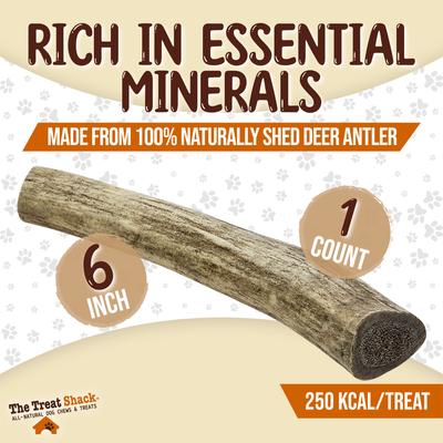 Whole Naturally Shed 6-in Deer Antler Dog Treats, Medium, 1 count