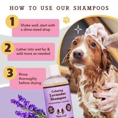 Lavender Dog Shampoo, 12-fl oz bottle