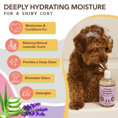 Lavender Dog Shampoo, 12-fl oz bottle