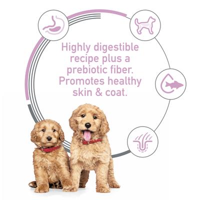 Puppy Sensitive Stomach & Sensitive Skin Salmon & Brown Rice Recipe Dry Dog Food, 13-lb bag