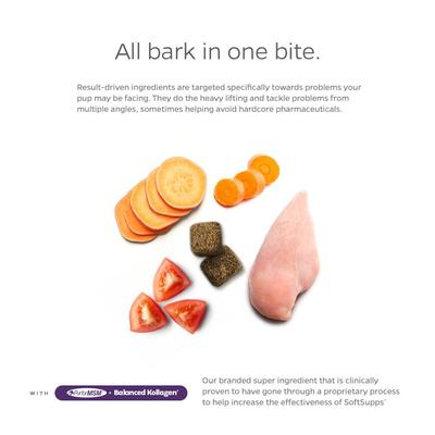 Hip & Joint SoftSupps Mobility Hip & Joint Dog Supplement, 90 count