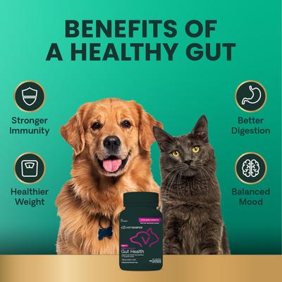 Extra Strength Gut Mega Probiotic & Prebiotic Health Easy-Open Capsules Digestive Supplement for Dogs & Cats, 120 count