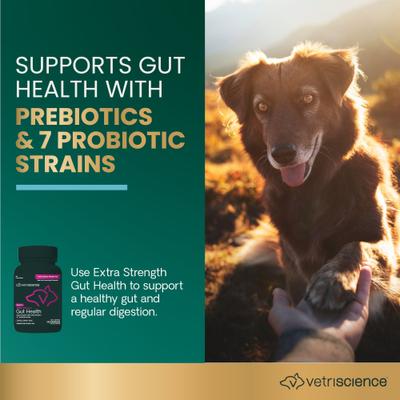 Extra Strength Gut Mega Probiotic & Prebiotic Health Easy-Open Capsules Digestive Supplement for Dogs & Cats, 120 count