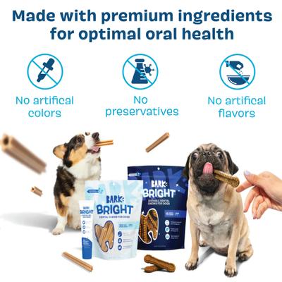Bright Durable Dental Kit: Medium Mint Flavored Dental Dog Treats + Chicken & Thyme Flavored Dog Dental Gel, 15 count, 2.5-oz gel, bundle of 2