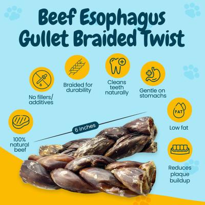 6-in Braided Beef Gullet Twist Dog Chew Treats, 3 count