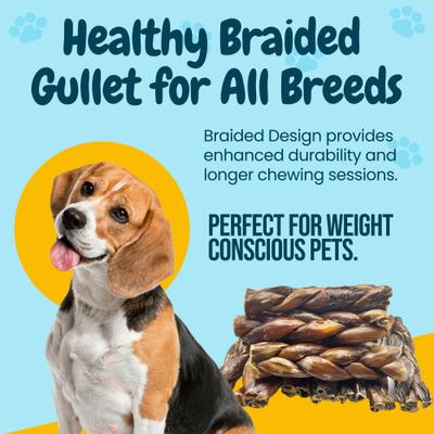 6-in Braided Beef Gullet Twist Dog Chew Treats, 3 count