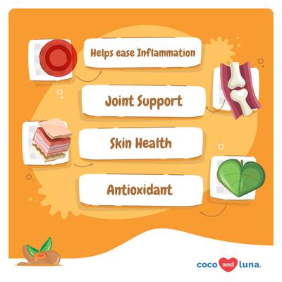 Coco and Luna Turmeric Curcumin with Collagen, BioPerine & Fish Oil Soft Chew Joint Supplement for Dogs, 90 count