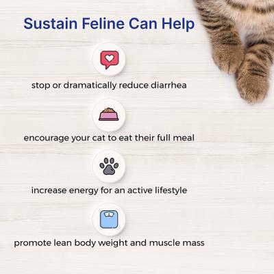 EmerAid Sustain Feline Recovery Food, 4.4-lb bag
