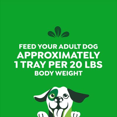 Smart Topper - Alimento húmedo para perros con pollo, judías verdes y carne de res, mezcla de alto contenido proteico e inmunitario, bandeja de 56 g, caja de 20 unidades