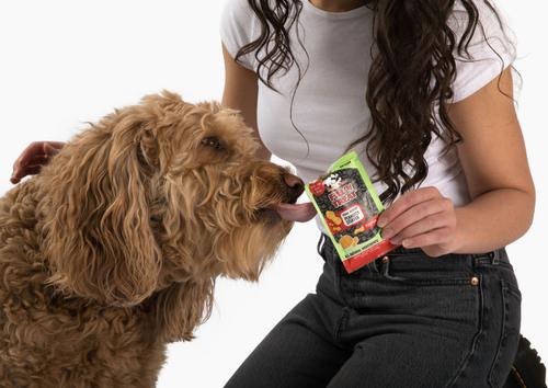 Fill'n Pumpkin Peanut Butter Dog Treat, 1-oz bag, 10 count