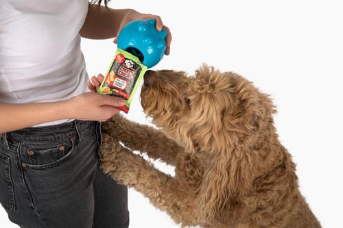 Fill'n Pumpkin Peanut Butter Dog Treat, 1-oz bag, 10 count