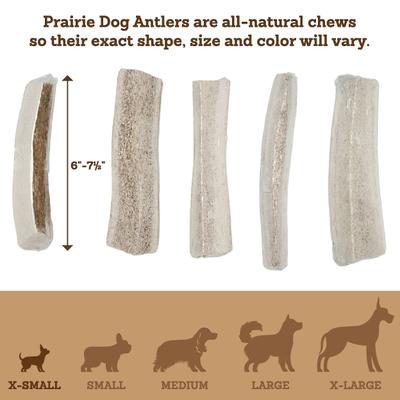 Split Chicken Flavor Antler Dog Chew, 4.5 - 6 inch