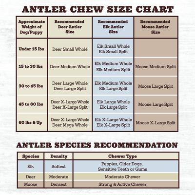 Split Chicken Flavor Antler Dog Chew, 4.5 - 6 inch