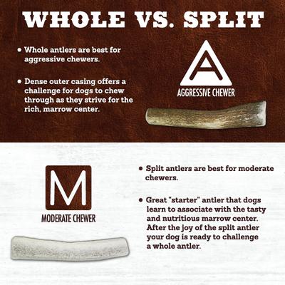 Split Chicken Flavor Antler Dog Chew, 4.5 - 6 inch