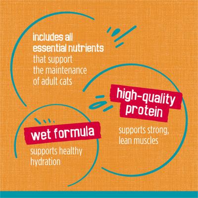 Tasty Treasures Gravy Chicken & Liver Wet Cat Food, 5.5-oz can, case of 24