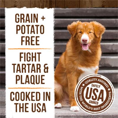 Fresh Kisses Dental Chews Pumpkin & Cinnamon Natural Medium Dog Dental Treats, 5-oz pouch