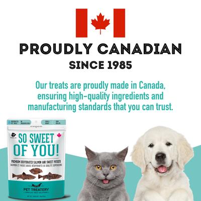 Salmon & Sweet Potato Grain-Free Dehydrated Dog & Cat Treats, 2.82-oz bag