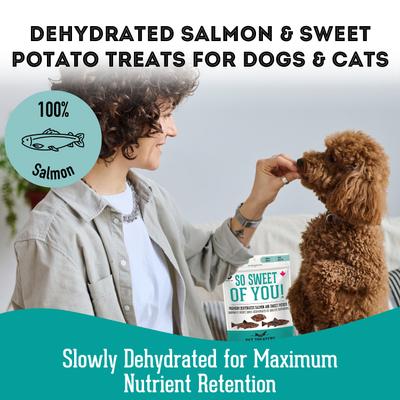 Salmon & Sweet Potato Grain-Free Dehydrated Dog & Cat Treats, 2.82-oz bag