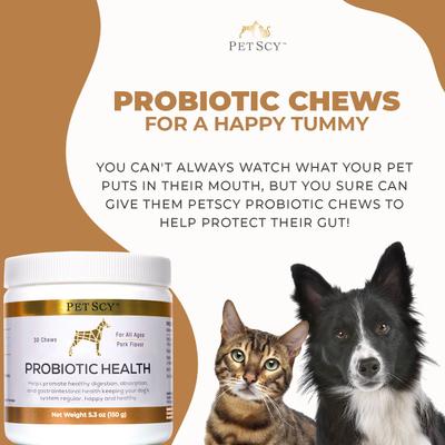 Probiotic Soft & Chewy Supplement for Dogs, 5.3-oz jar, 30 count