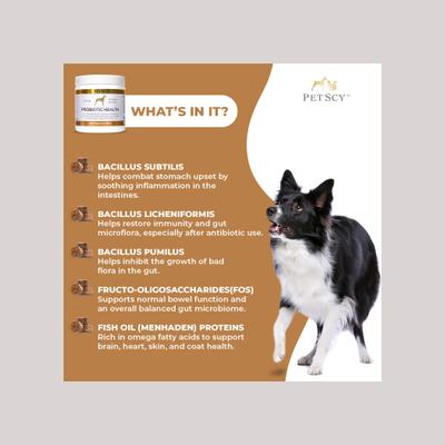 Probiotic Soft & Chewy Supplement for Dogs, 5.3-oz jar, 30 count