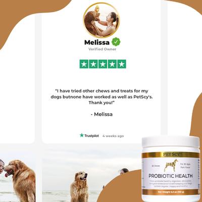 Probiotic Soft & Chewy Supplement for Dogs, 5.3-oz jar, 30 count