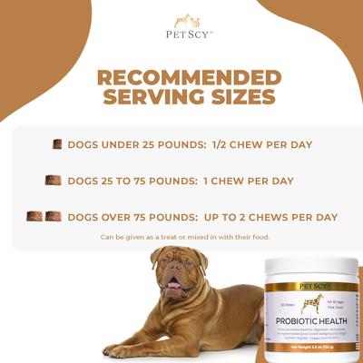 Probiotic Soft & Chewy Supplement for Dogs, 5.3-oz jar, 30 count