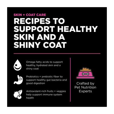 Skin + Coat Care Chicken Recipe Dry Cat Food, 8-lb bag