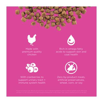 Skin + Coat Care Chicken Recipe Dry Cat Food, 8-lb bag