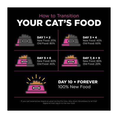 Skin + Coat Care Chicken Recipe Dry Cat Food, 8-lb bag