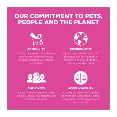 Skin + Coat Care Chicken Recipe Dry Cat Food, 8-lb bag