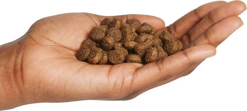 All Life Stages Kinesis Formula Dry Dog Food, 40-lb bag