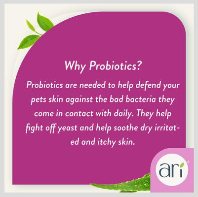 ARI Probiotic Anti-itch Dog Spray, 8-fl oz bottle