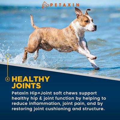 Hip + Joint Support Beef Flavor Grain-Free Dog Supplement, 120 count