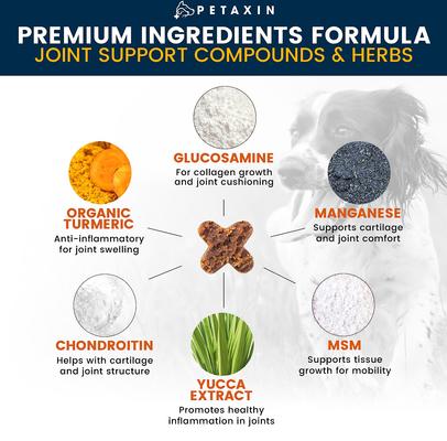 Hip + Joint Support Beef Flavor Grain-Free Dog Supplement, 120 count