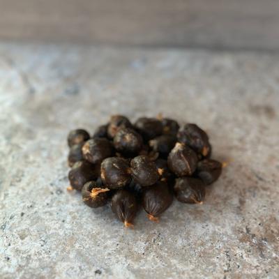 Slow Roasted Beef Pearls Soft & Chewy Dog Treats, 10-oz bag