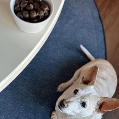 Slow Roasted Beef Pearls Soft & Chewy Dog Treats, 10-oz bag