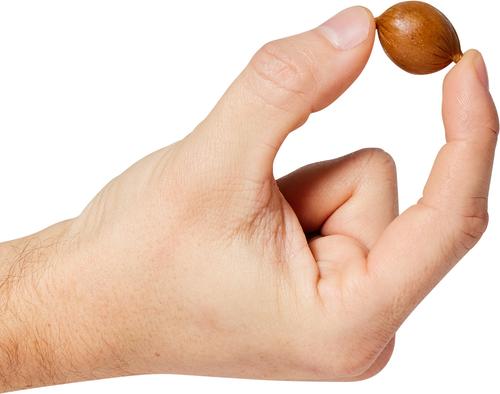 Slow Roasted Beef Pearls Soft & Chewy Dog Treats, 10-oz bag