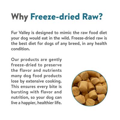 Salmon Bites Grain-Free Freeze-Dried Dog Treats, 2-oz bag