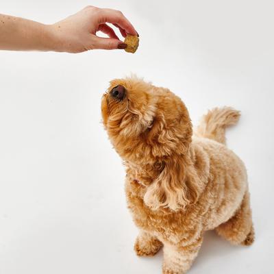 Lamb Liver Freeze-Dried Treats, 3-oz bag