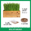 Cat Grass Kit & Decorative Wood Planter, Natural