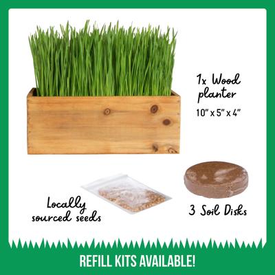 Cat Grass Kit & Decorative Wood Planter, Natural