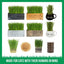 Cat Grass Kit & Decorative Wood Planter, Natural