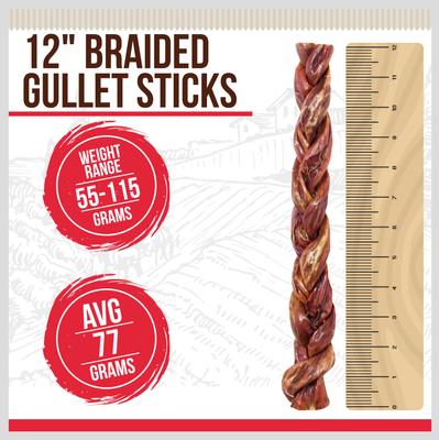 Braided Gullet Beef Flavored 12-in Dog Chews, 2 count