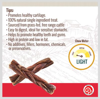 Braided Gullet Beef Flavored 12-in Dog Chews, 2 count