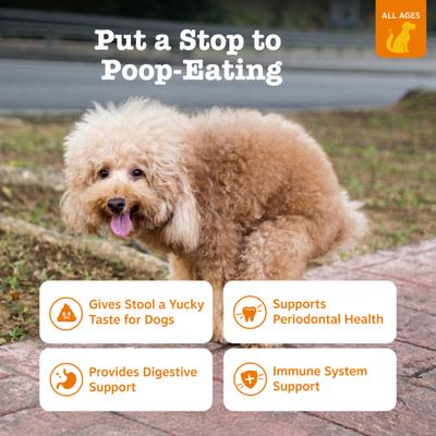 Chew No Poo Chicken Flavored Soft Chews Coprophagia Stool Eating Deterrent Digestive Supplement for Dogs, 180 count