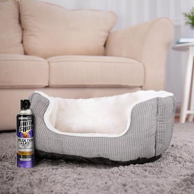 Flea, Tick & Lice Killer Spray, 14-fl oz bottle