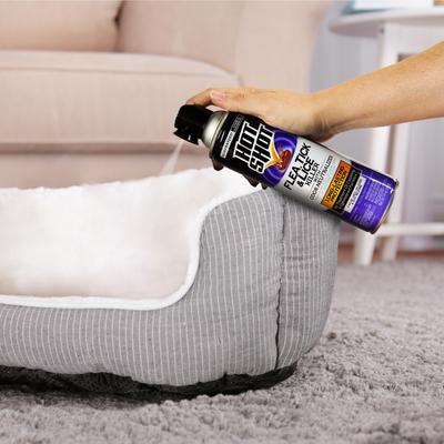 Flea, Tick & Lice Killer Spray, 14-fl oz bottle