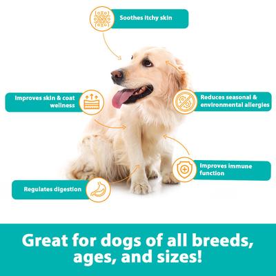 Allergy, Itch & Immune Support Soft Chews Dog Supplement, 60 count